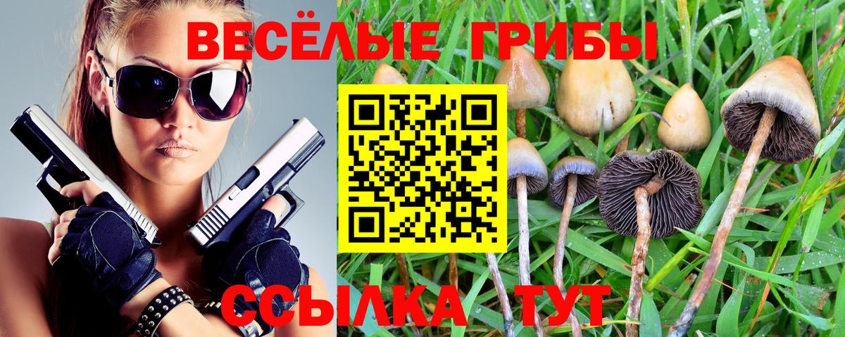 Галлюциногенные грибы мухоморы Валуйки