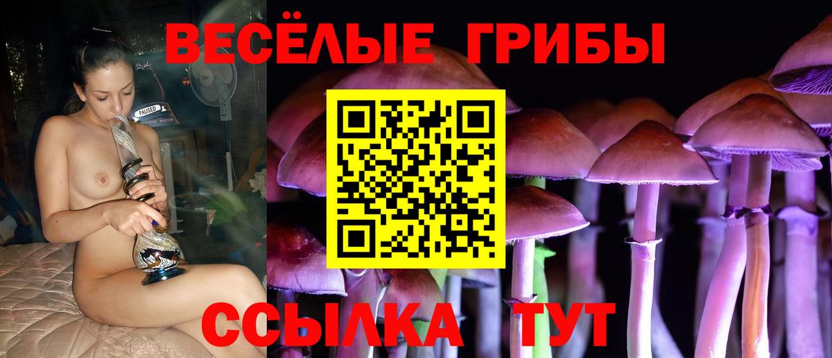 Галлюциногенные грибы GOLDEN TEACHER  наркота  Валуйки  Вход с VPN 